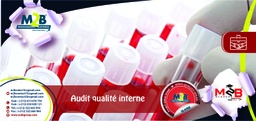 [SFO_B_QHSE_SA_LB_103] Audit qualité interne