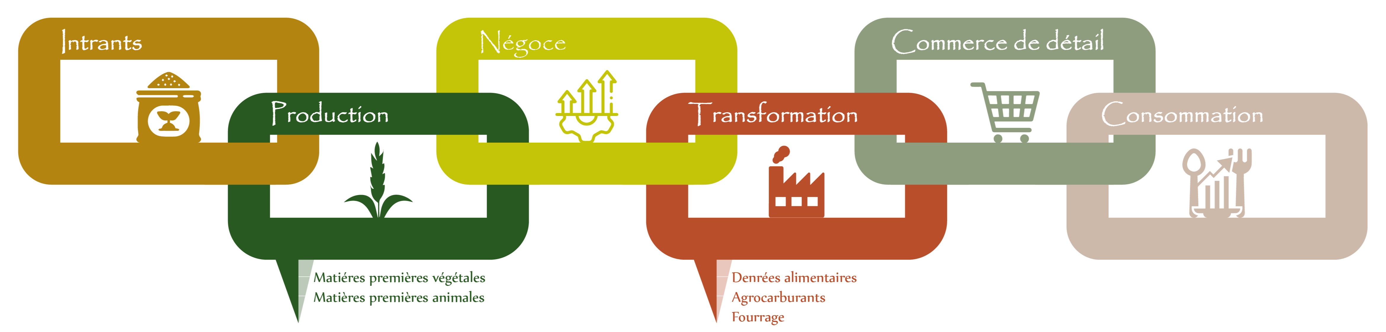 Le système agroalimentaire Le système agroalimentaire